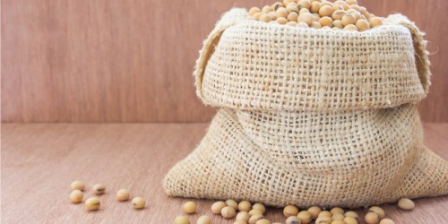Soy Allergy Overview: Triggers, Symptoms, and Treatments